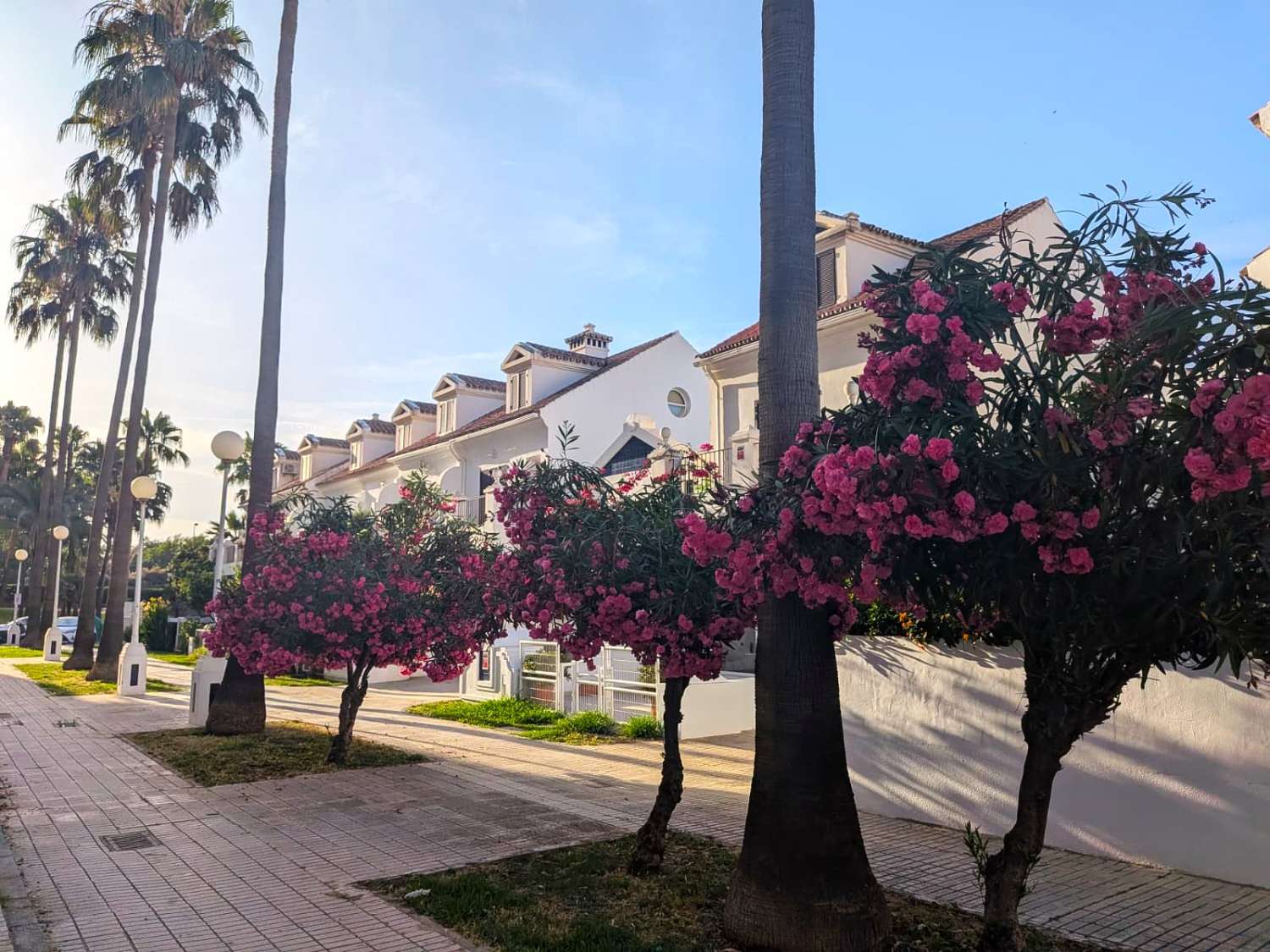 الشاليه لقضاء العطلات في Zona Sohail (Fuengirola)