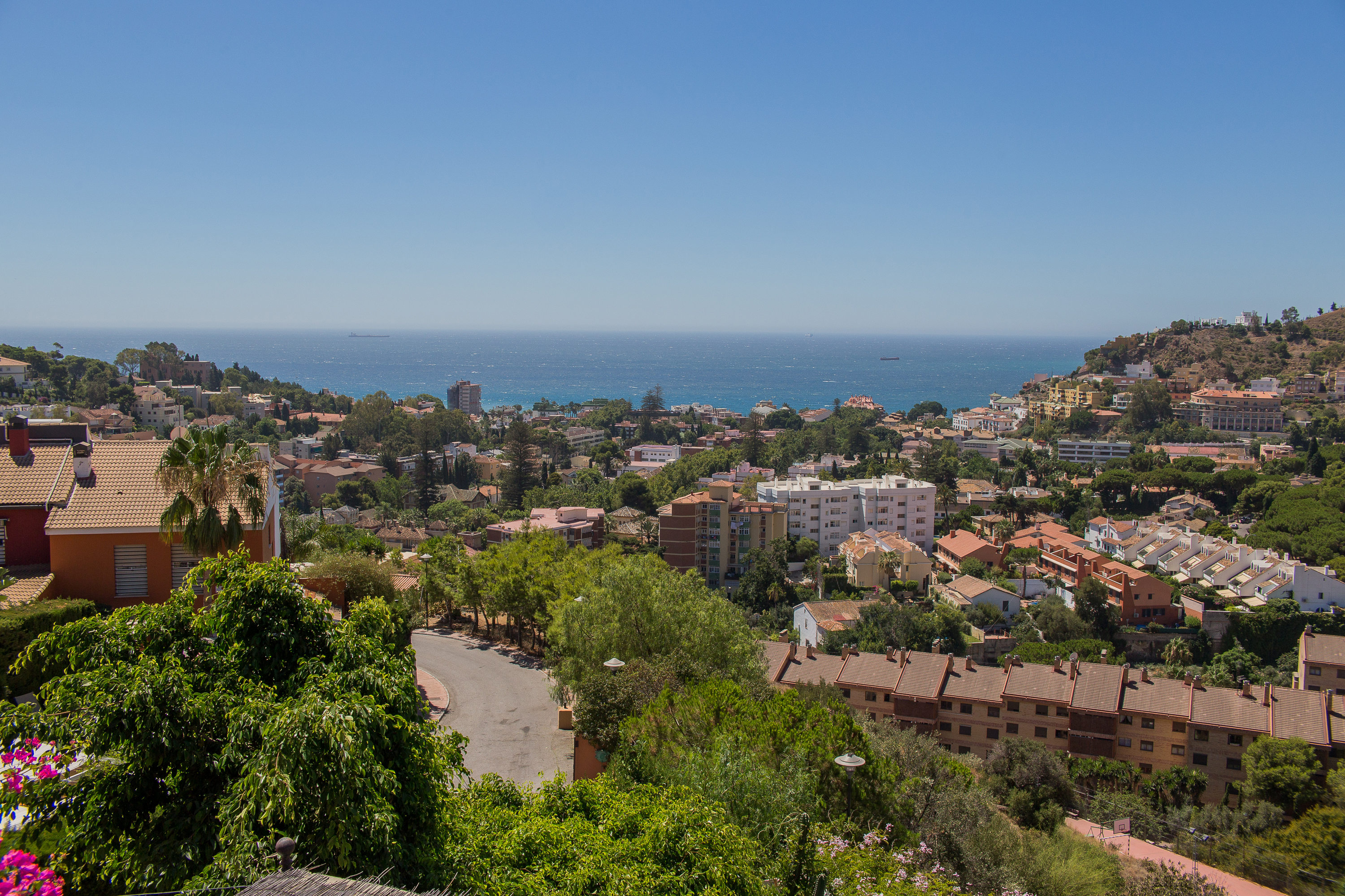 el limonar malaga